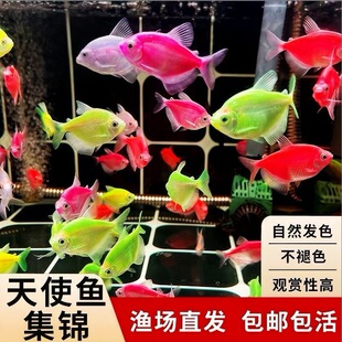 �û��߲���ʹ�~�^�p�~���~Ⱥ��С���~��ˮ���B�ͻ�Ꭷ�����~