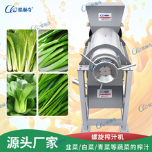 瓜果榨汁機生產線 沙棘果壓榨飲料生產線設備 出汁率高螺旋榨汁機