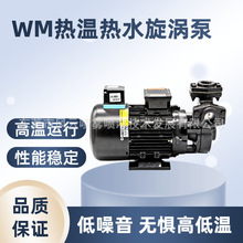 水泵WM-033/05等系列导热耐高温热温水油旋涡泵鼓风机 模温机床