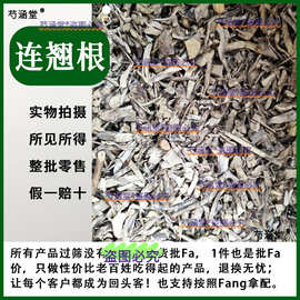 中药材 连翘根 纯天然无硫纯根连轺 河南货新货野生正品500克中药