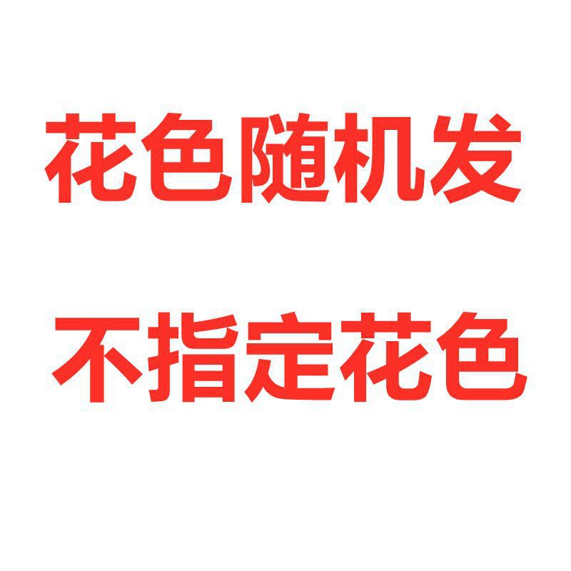 랜덤 패턴 [상큼하고 편안함]