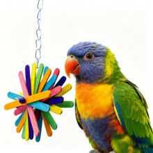 鸟玩具鹦鹉宠物用品 多彩鸟笼配件花朵木质磨牙串啃咬串 bird toy