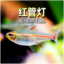 �t��ܟ��~�����޺����ˮС�͟Ꭷ�^�p�~����ˮ��Ⱥ�ΰ��R��̖