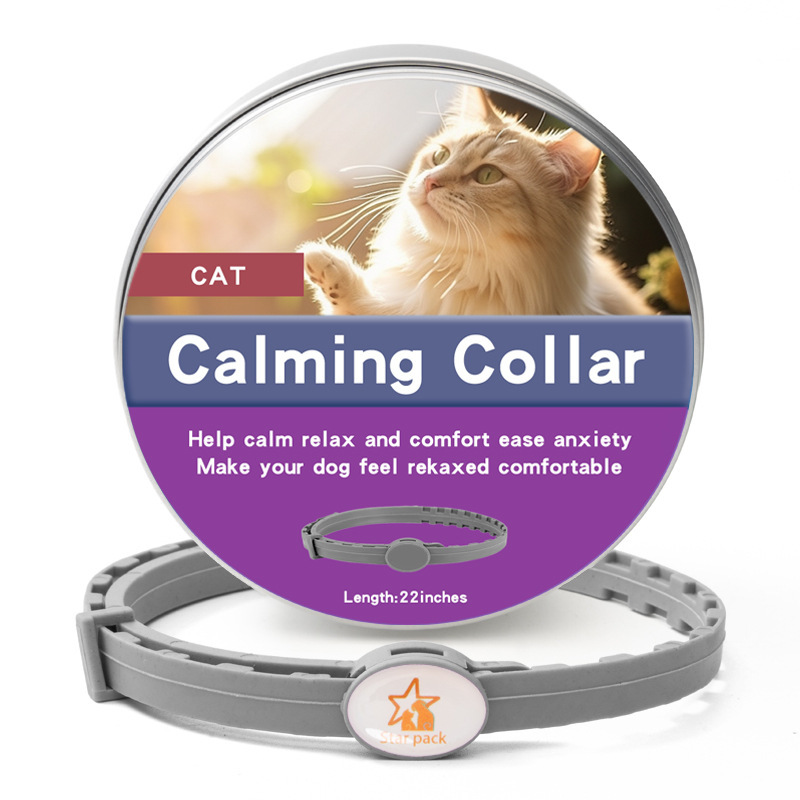 맞춤형 고양이 상자 회색 56CM