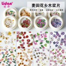 小红书爆款美甲木浆片 彩色花朵小雏菊美甲贴INS仿干花 木浆贴片