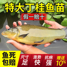 ���ڼt�����~�絭ˮ�Bֳʳ�û��w�~���F�~���q�~횚q�~�����~