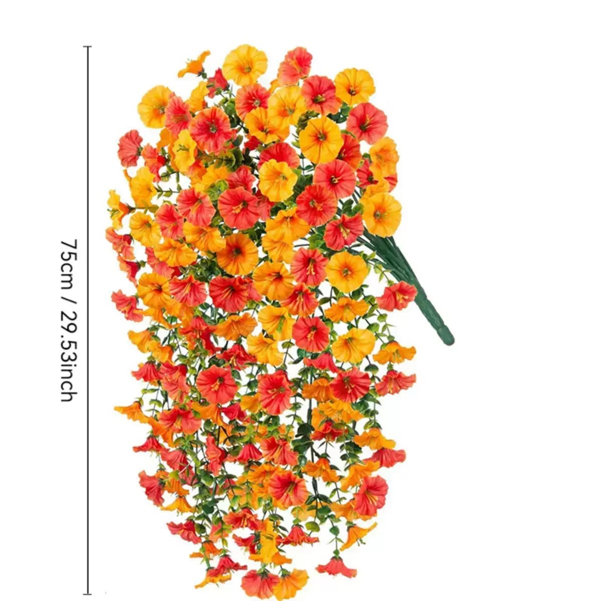 바이컬러 나팔꽃 오렌지