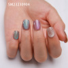 Nail stickers, fake nails for nails, cat's eye, wholesale