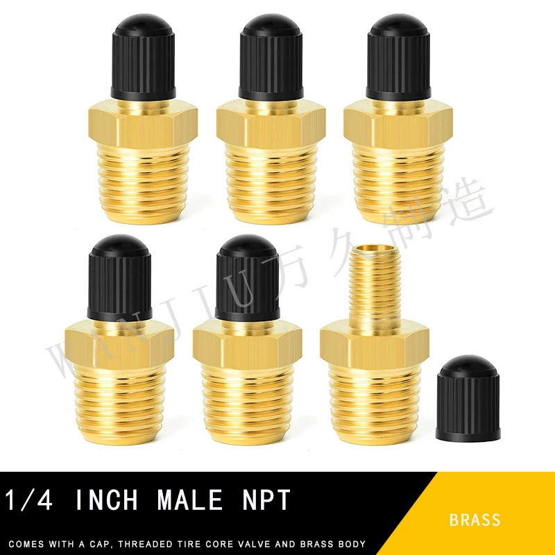 Расширительный бачок контейнера надувная насадка напорный бак уплотнение ствола клапана амортизатор настенный котел медная надувная насадка красота