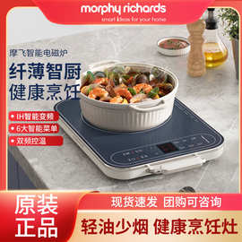 电炖煲汤锅多功能家用养生锅隔水燕窝炖陶瓷全自动煮粥MR9082