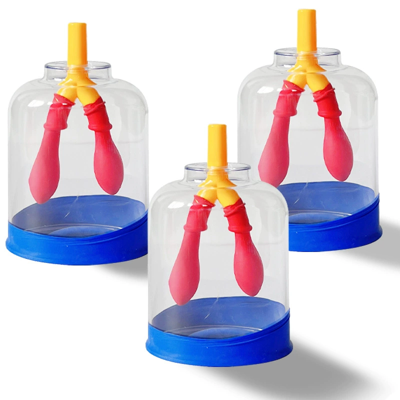 Respiratory sports physiological equipment, teaching aids, for secondary school, physical protection