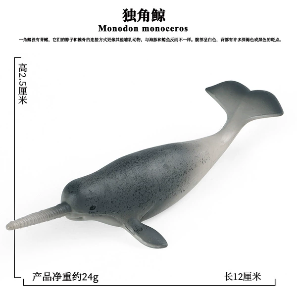M-2524 unicorn whale