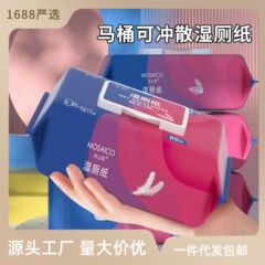 濡れたトイレタオル家庭用超お得なウェットティッシュ分解性抽出式ウェットタオルバッグ濡れたトイレットペーパー家庭用洗浄可能