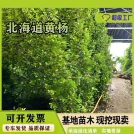 遮阳网;土工布;其他安全网