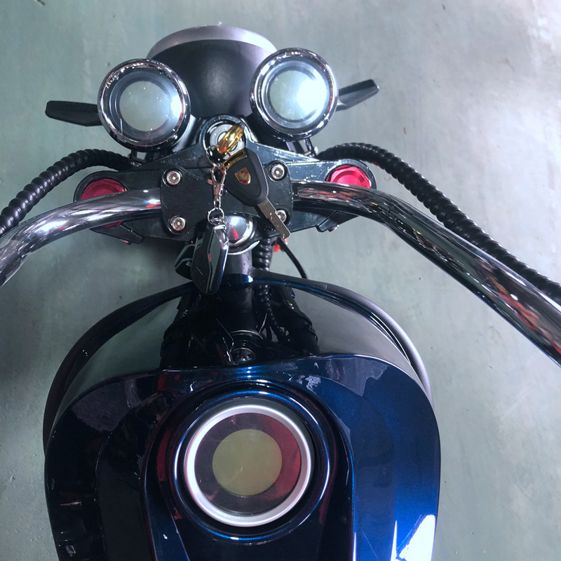 Eec Small and Large Harley Electric Vehicles, Electric Scooters, Delivery Electric Motorcycles, Harley Bikes, Electric Scooters