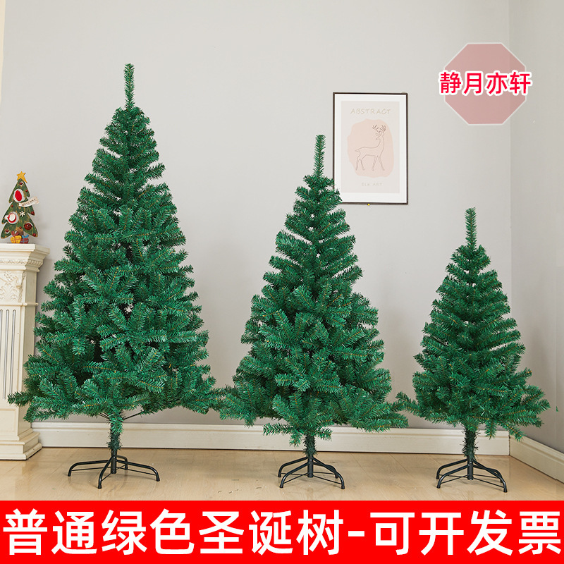Christmas Green Christmas Tree 1.2/1.5/1.8/2.1/2.4/ 3m Home Naked Tree Artificial Christmas Decoration