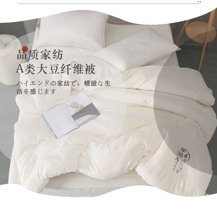 Class A Raw Cotton Soybean Fiber Thickened Quilt Core Spring Autumn Winter Cotton Quilt Student Dormitory Winter Quilt Gift Wholesale