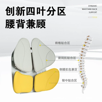Cushion, Ergonomic Backrest Cushion, Four-Leaf — Waist support