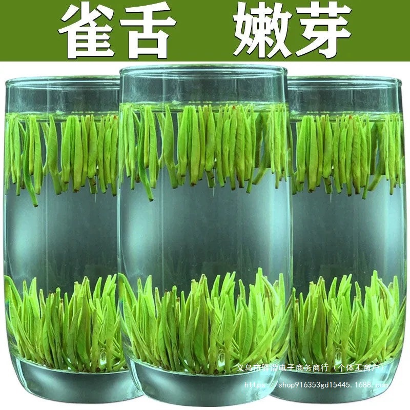 明前雀舌茶叶2025新茶贵州毛尖茶湄潭翠芽新鲜嫩芽浓香型500g