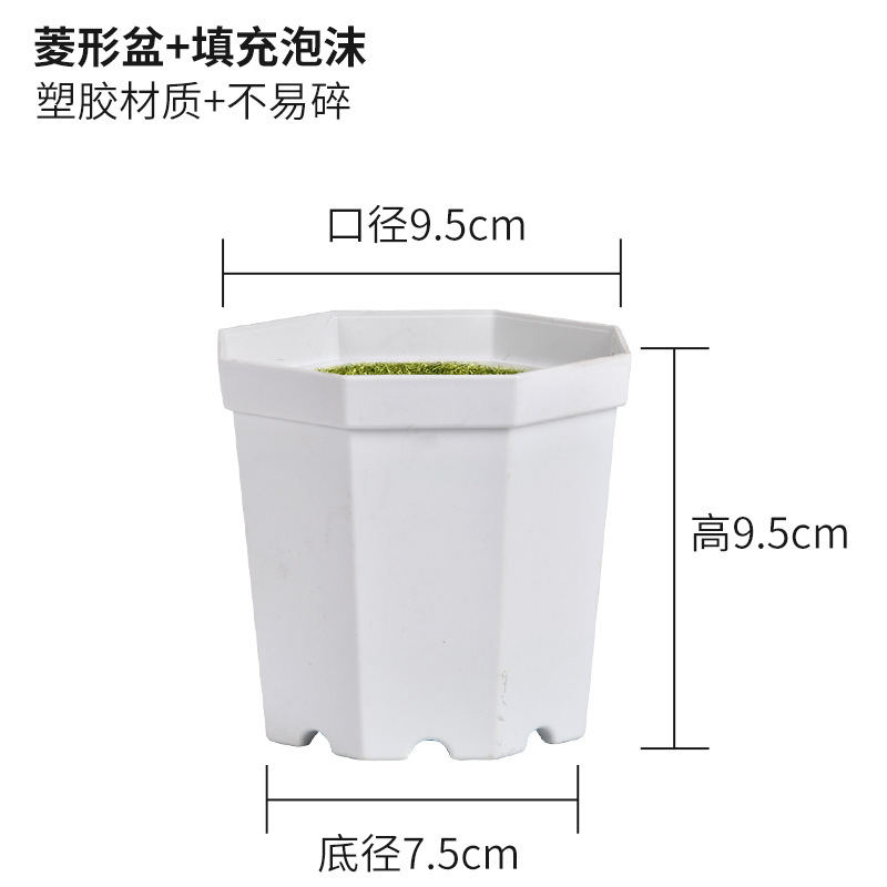 다이아몬드 분지 + 충전 폼