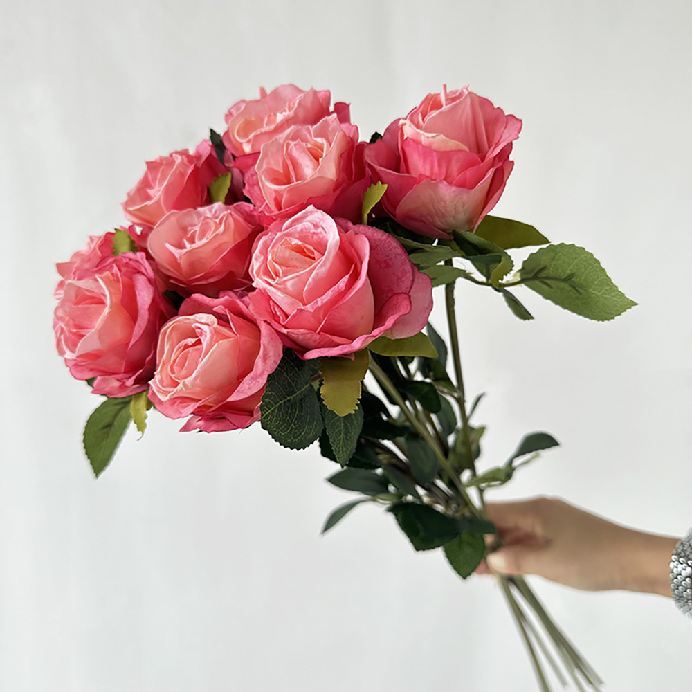 구운 가장자리 불가리안 장미 가루 10개