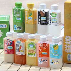 Weichangli 緑豆ペースト絞りたてコーンジュース毎日乳酸菌ココナッツフルーツジュースドリンク卸売 450 ミリリットルボトル
