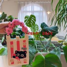 �n��insᘿ�������¿������֙C���W���ɐۿ�ͨ�r��б��
