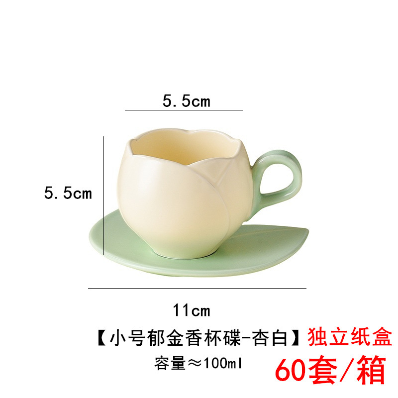 Small tulip cup and saucer-apricot white