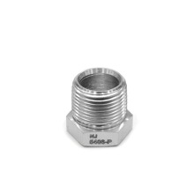 ��������������NPT�����ƶ�ͷ�����ͺ�4N(5406-P)