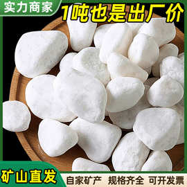 白色鹅卵石碎雪花白盆栽装饰白石子园艺庭院造景砾石雪花白砾石