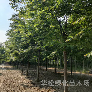 �Θ�������l���^�^�p�G����ľ��ɽ�쾰�@���L�����ļ��Nֲ�t�Θ�