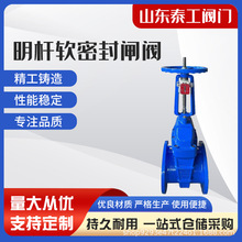 Z41X-16QܛܷUlyīTFˮSˮyTй©