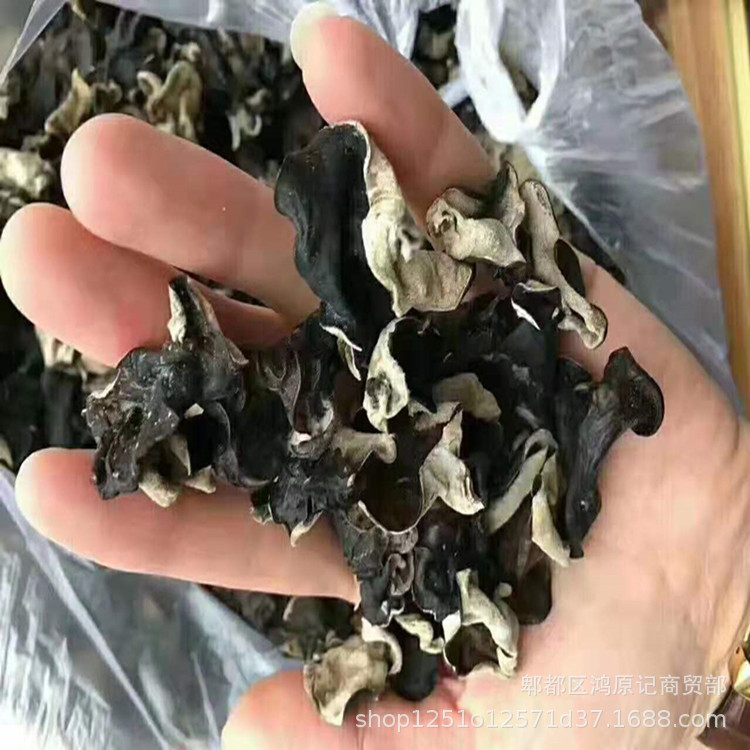 193b469f5b67e50adacb361656d42d