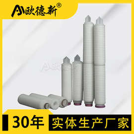 PES聚丙烯保安折叠滤芯过滤葡萄酒pp亲水性精处理前置过滤器滤芯