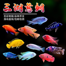 ���������~�R�����������P���~���w��ˮ��С�����B�׻�Ꭷ�^�p�~