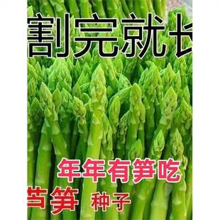 �J�S�N���ļ��Nֲ�߲�֮���M�ھG�J�S�N�ѿ����ͺ��߲˷N�Ӵ�ȫ