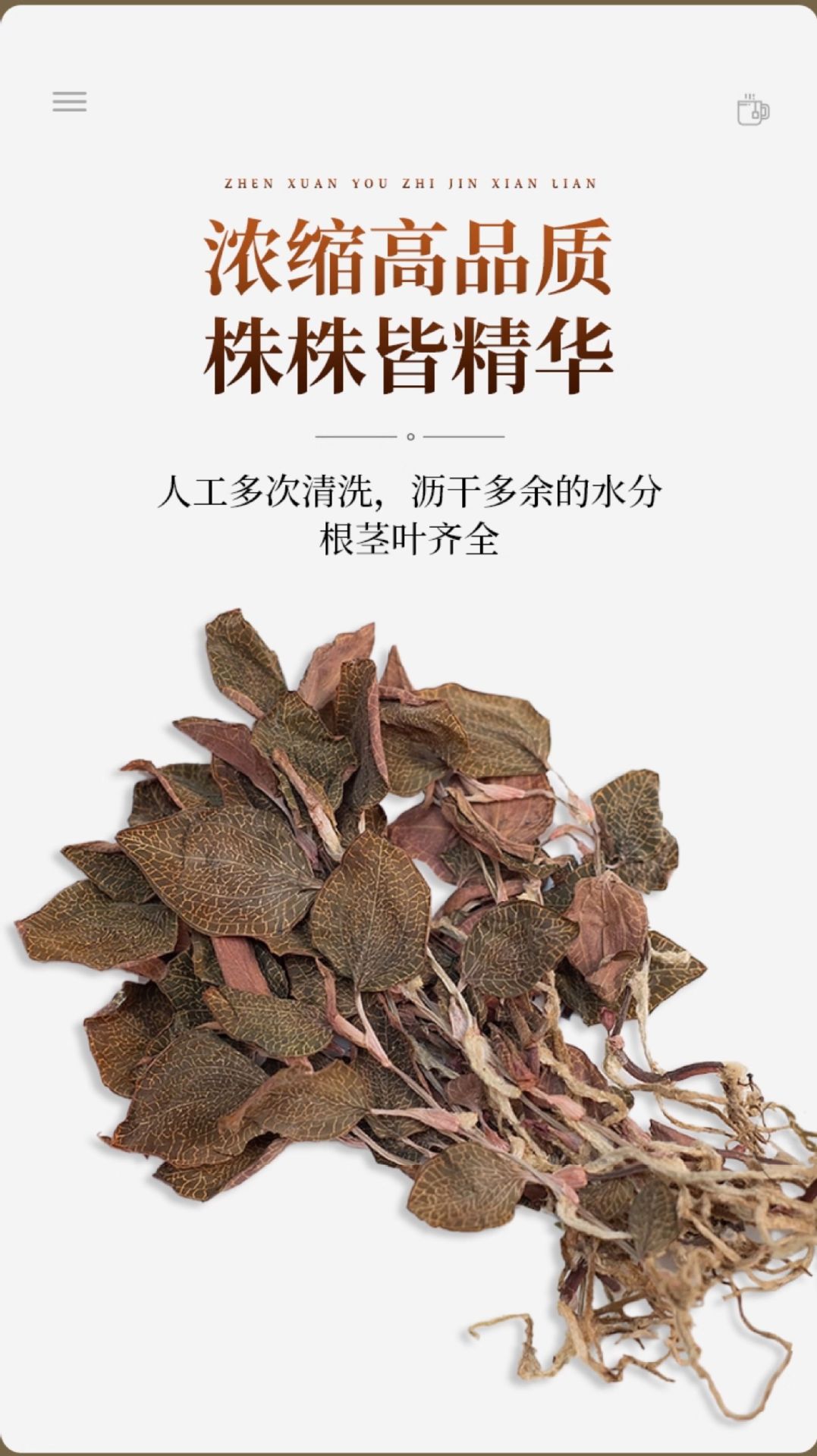 Anoectochilus Dried Whole Plant Tea 250g Fujian Jinxianlian Gift Box overview