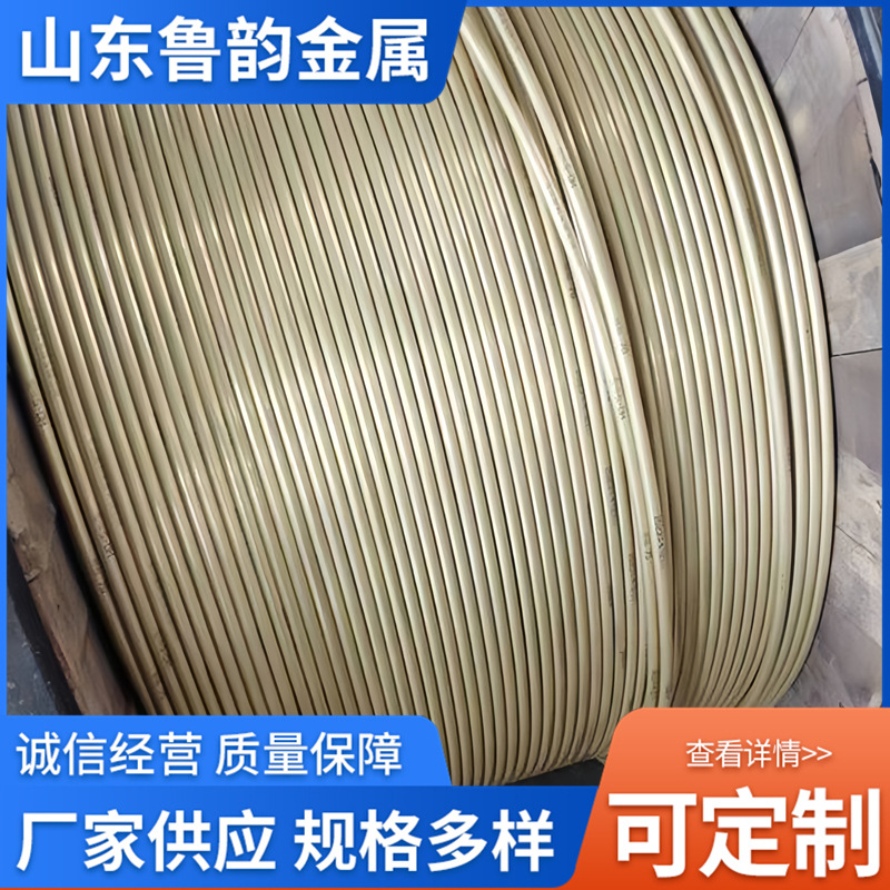 高铁贯通地线 路基接地分支引接线SDH35环保型合金护套贯通地线70