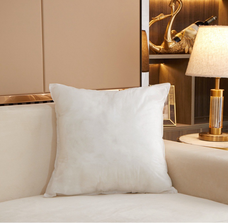 Pillow Insert Image 9