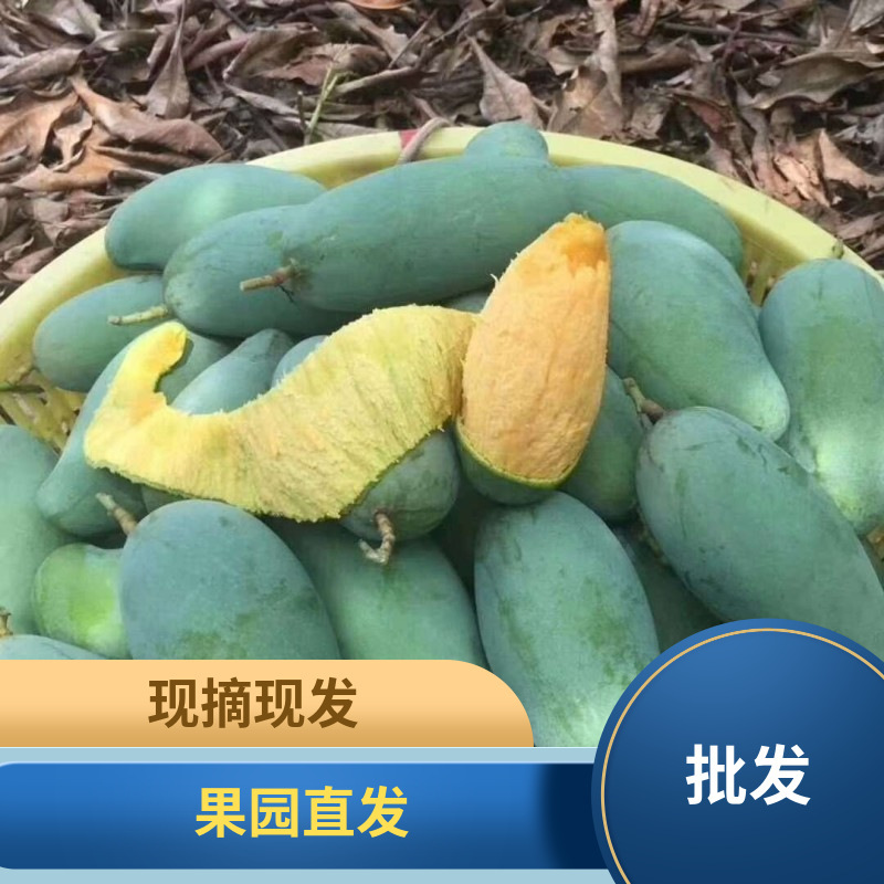 Mango Guangxi Guiqi Mango Baise Tiandong Big Guiqi Green Mango Fresh Fruit Gift Box Wholesale and Distribution Mango Guangxi Guiqi Mango Baise Tiandong Big Guiqi Green Mango Fresh Fruit Gift Box Wholesale and Distribution