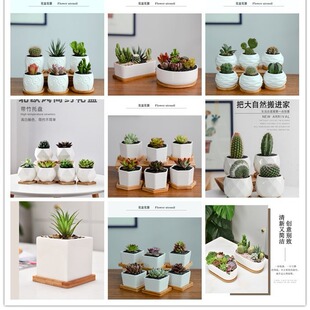Na goods cross-border export white porcelain full wholesale ceramic fleshy flower pot factory direct white porcelain pot