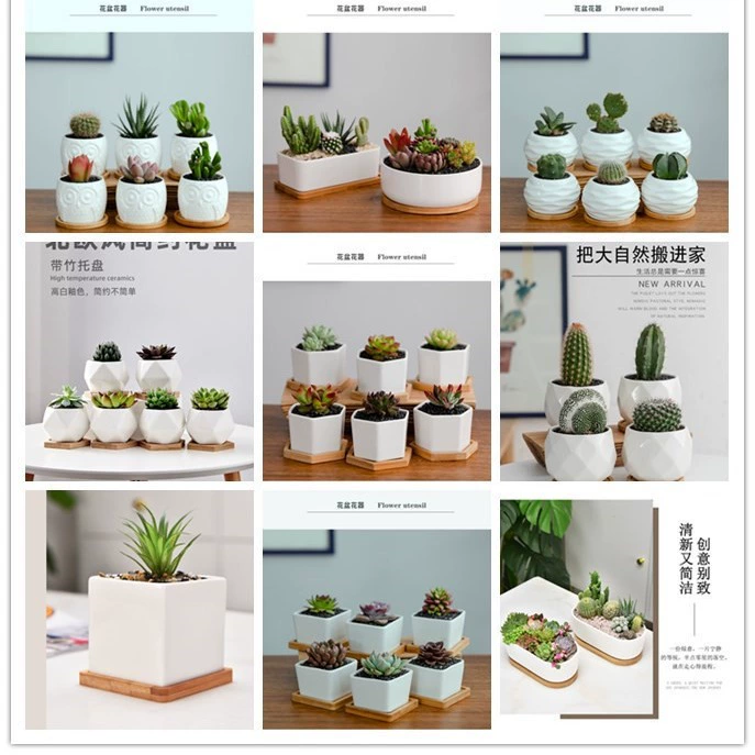 Na продукт трансграничный эксклюзивный экспорт белый фарфор полномасштабный керамический цветочный горшок с фабрики прямой белый фарфоровый горшок