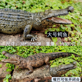 �羳�h�ń���ʷǰ���{�~���挍�Ĵ��{�~����ģ���o�B�[�����k���