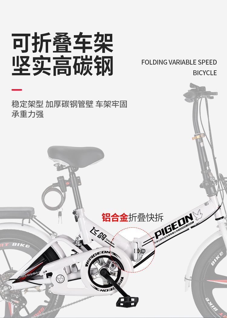 4145db67-3925-43eb-a998-9136a099df2d.jpe