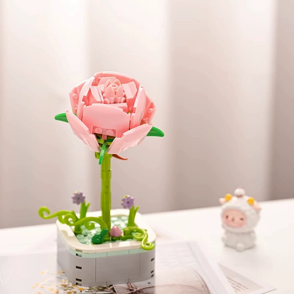 Pink rose color box