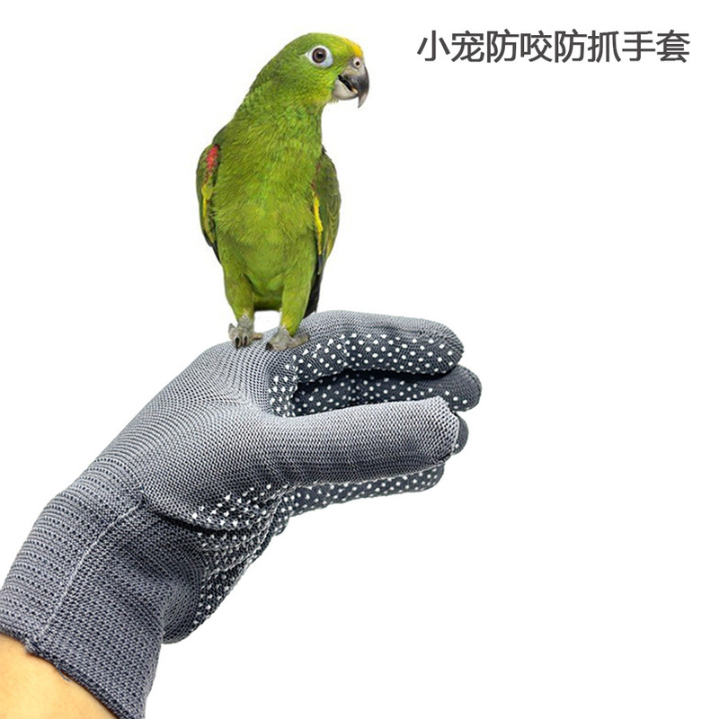 国境を越えたハムスター用品ハムスター咬傷防止手袋抗咀嚼オウム鳥ハンドキャッチ小型ペット保護手袋卸売|undefined