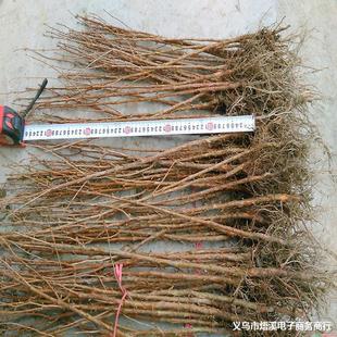 ˮɼ��ˮɼ�����ɼ��ɼС������ɼ��ɽɼ��ͥԺ�G�����^��ˮɼ��