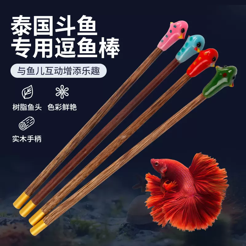 泰国斗鱼棒逗鱼棒纯手工制作斗鱼玩具展尾互动小工具半月狮王马尾