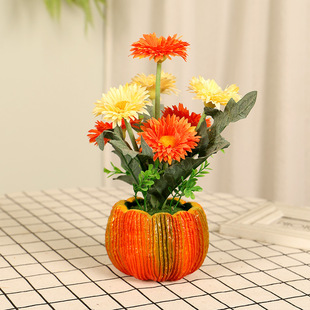 �¿�ջ�������ɫĸ�H�շ����Ϲϻ����b[���Ҿ��b�Ʒ�S�����l