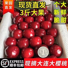 ���B������ش�����Fժ�F�l�ЋDˮ��܇�������r����l؛��S���]